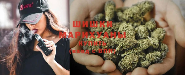 крисы Абаза