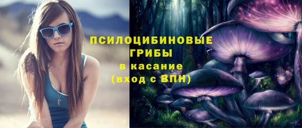 винт Алзамай