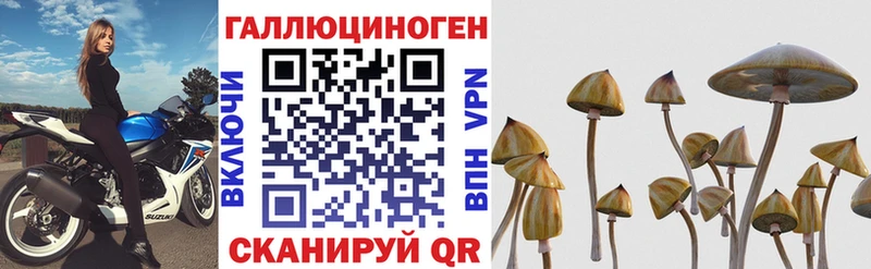 даркнет сайт Ишимбай Псилоцибиновые грибы прущие грибы