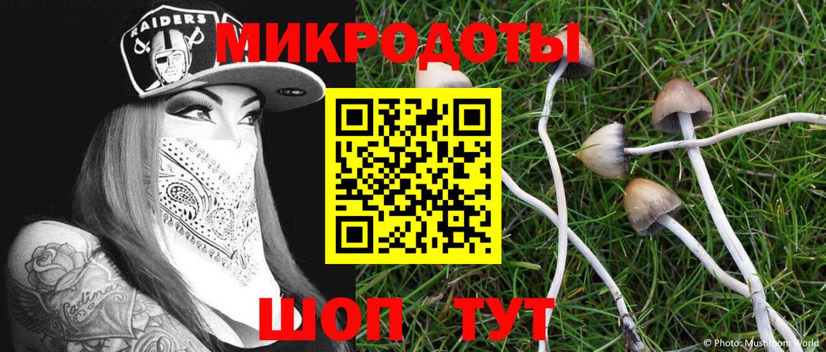 Псилоцибиновые грибы Magic Shrooms  магазин    Вход с VPN  Ишимбай  Галлюциногенные грибы Magic Shrooms 