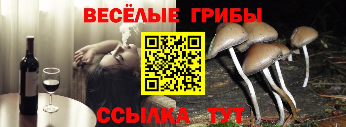 Псилоцибиновые грибы GOLDEN TEACHER Ишимбай